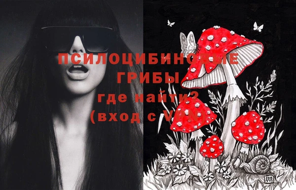 spice Верхний Тагил