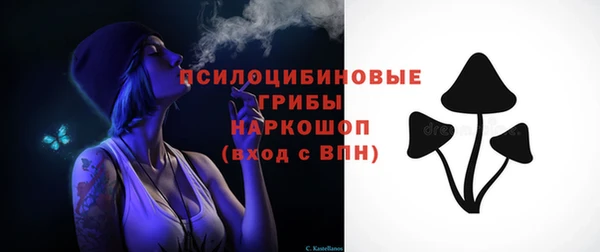 spice Верхний Тагил