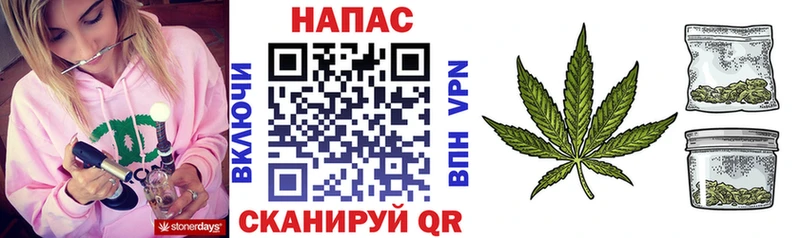 Каннабис White Widow  Купить закладки  Гаджиево 